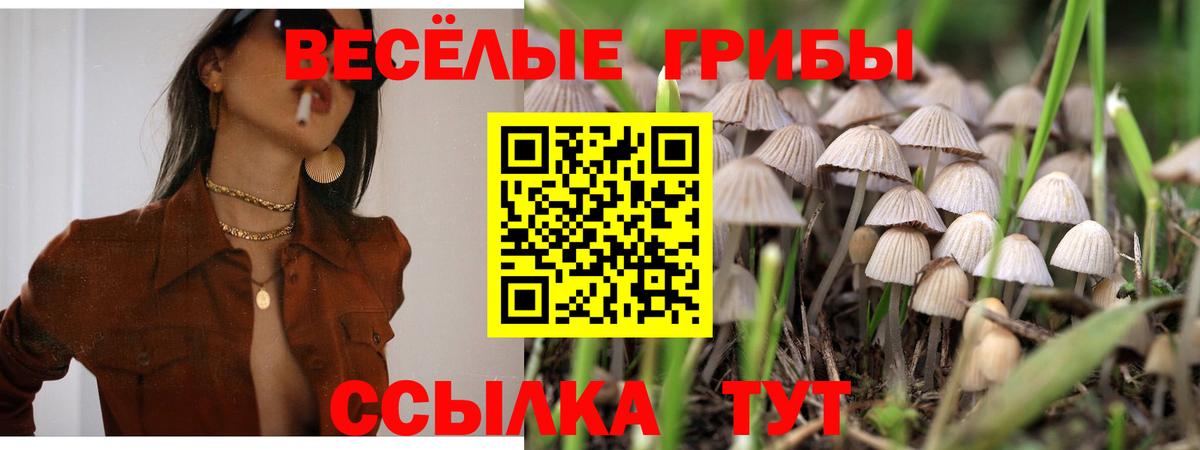 Ревда  Псилоцибиновые грибы мухоморы  Вход с VPN 