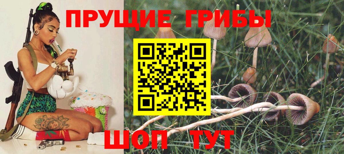 Псилоцибиновые грибы Psilocybe Ревда